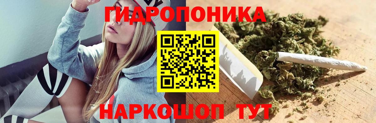 Шишки марихуана конопля Елабуга